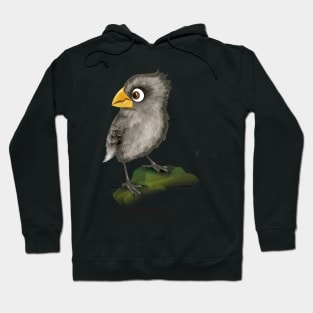 Galápagos Finch Hoodie